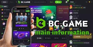 Exploring BC.Game PH Hub Your Gateway to Online Gaming