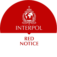 Understanding Interpol Red Notice Removal A Comprehensive Guide 1334733941 Understanding Interpol Red Notice Removal A Comprehensive Guide 1334733941